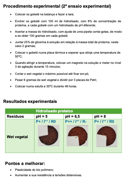 1.ª reformulação dos Ensaios experimentaie